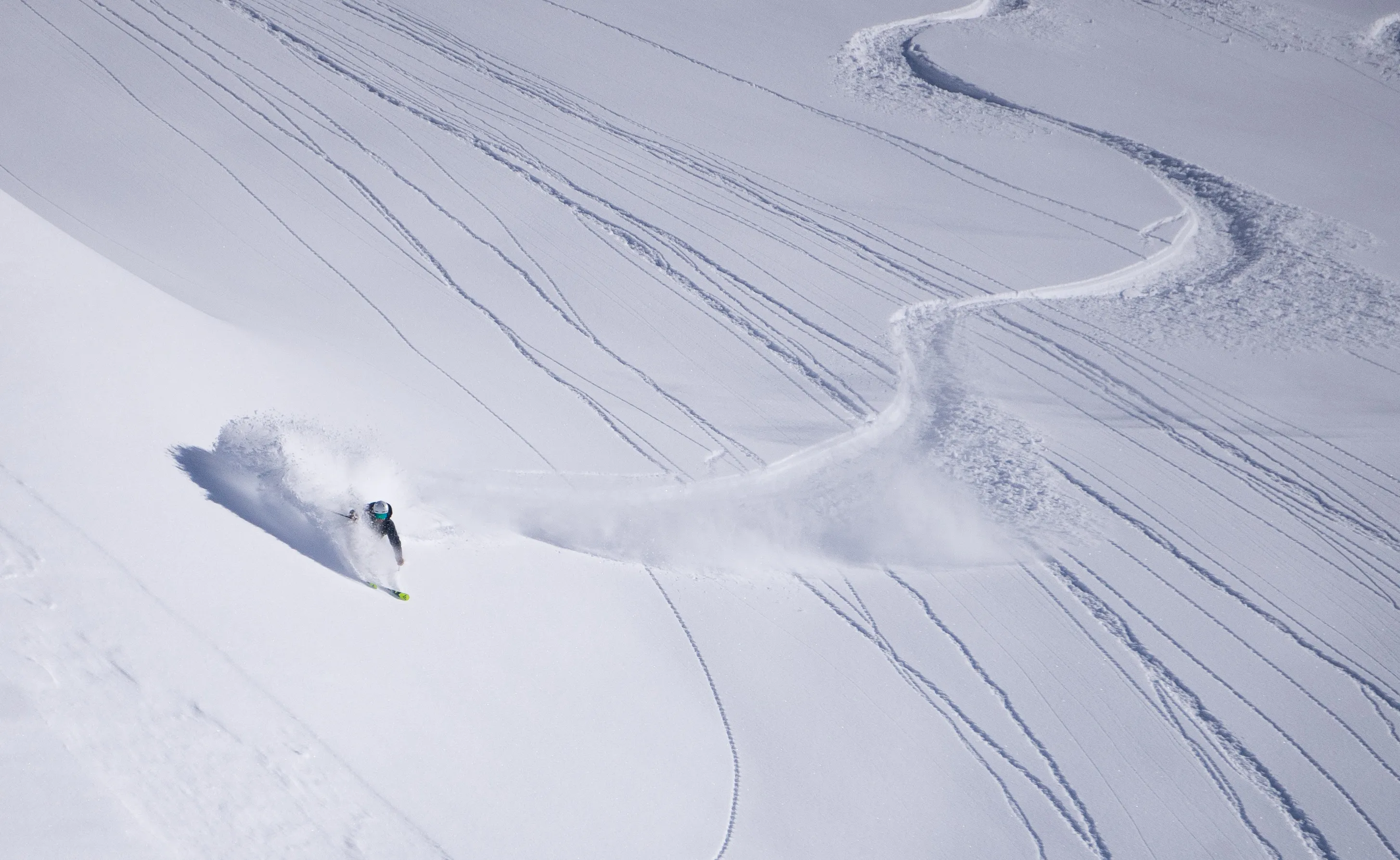 landinng page hero image of a skier spraying powder